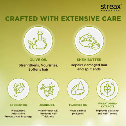 Streax Professional Spa Nourishment Hair Masque